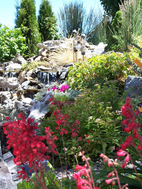 Detailed residential landscape planting