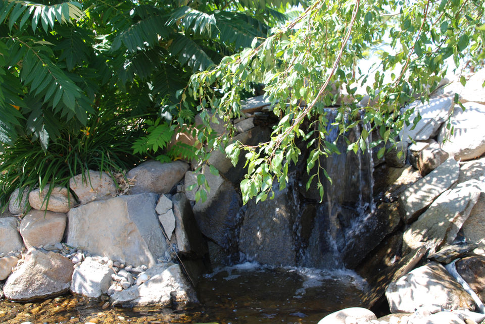 Custom Northern Nevada landscape