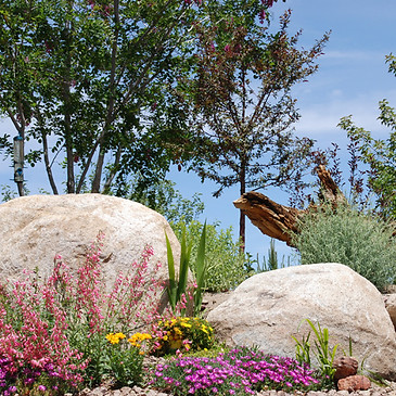 Landscapes by Nevada Landworks